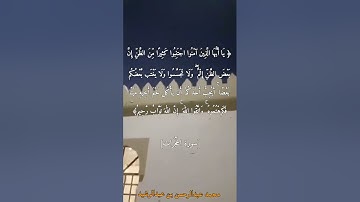 ﴿ إنما المؤمنون إخوة فأصلحوا بين أخويكم واتقوا الله لعلكم ترحمون... #سورة_الحجرات #روائع_التلاوات  