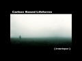 Carbon Based Lifeforms - Interloper [Full Album]