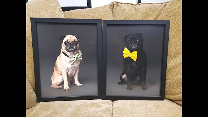 Testimonial for Julie Hopkins Camera Creations Pho...