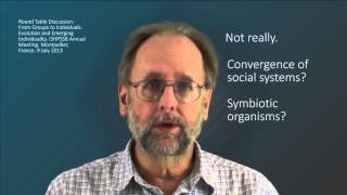 Superorganisms and superindividuality