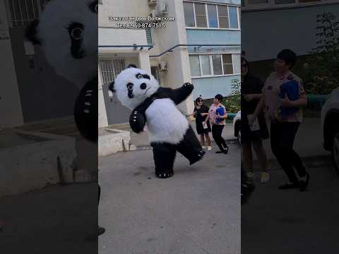 Мальчику не понравился подарок от папы 😐 испугался и не подошёл🎁 #поздравлениеотпанды #пандаволжский
