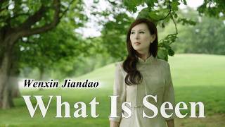 [Wenxin Jiandao | What Is Seen 文心见道｜所见]