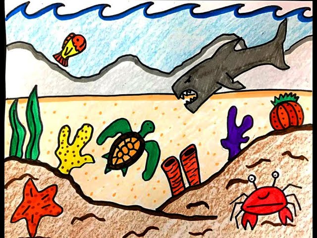 Aquatic Biome Drawing