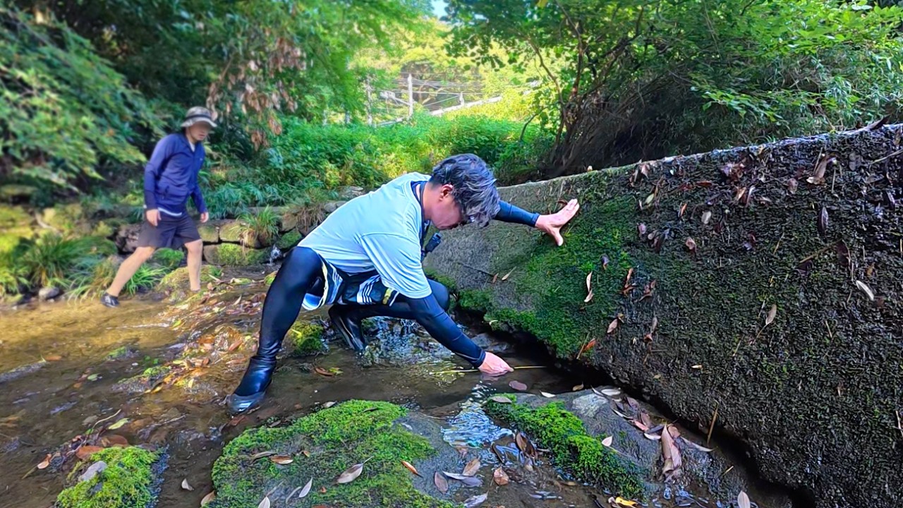 川で見つけた穴に太いウナギが隠れてた