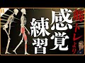 【片麻痺者が動けないのはなぜ？⑩】ラクに歩く！最初は感覚の練習→筋肉を使う練習（14:56～）伸展反応とバランス＝自動的に最適な位置に