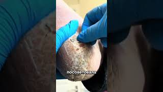 Артикул Вайлдберриз: 486424970 #вайлдберриз #wildberries #вайлдбериз #товары