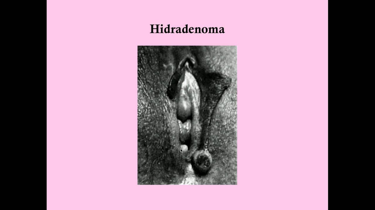 Loyda yalangoch janglar Sex with Animals ni onlayn tomosha qiling