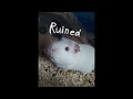 Deermen - Ruined (Official Audio)