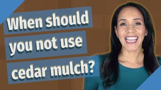 When should you not use cedar mulch?
