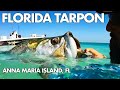 Tarpon Fishing | Bow to the King | Fishing for Tarpon Anna Maria Island Florida