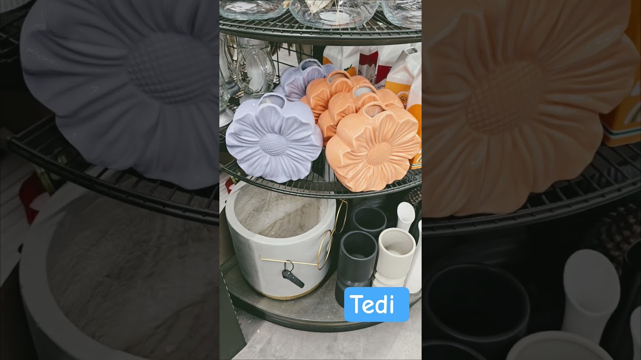 ARRIVAGE TEDI NEW PRODUCTS 2026