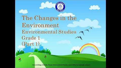 Grade 1   ENV   Changes in the Environment Part 1