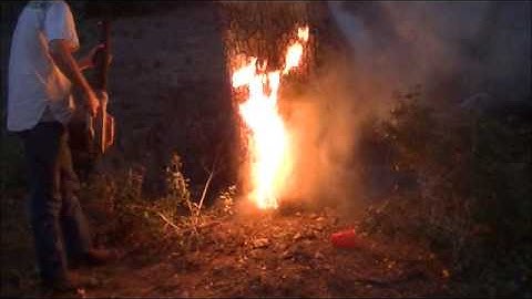 How To Take Down A Tree: Redneck Style