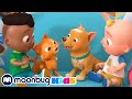 Cody's Moving Day Song! | @Cocomelon - Nursery Rhymes | Learn | ABC 123 Moonbug Kids | Fun Cartoons