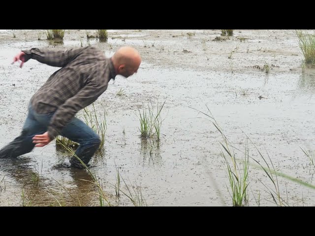 TUSK TV April 2021 - Chik White - Marshlands