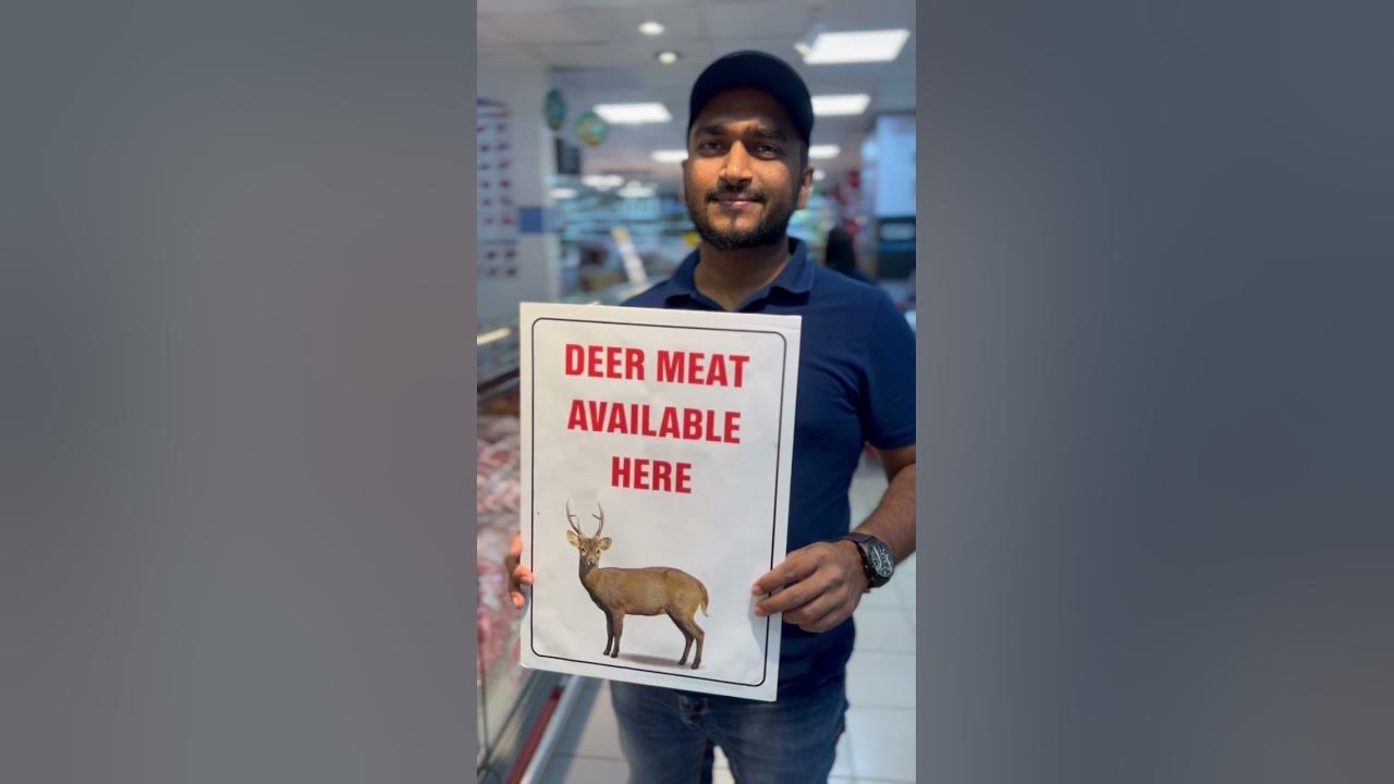deer-meet-available-in-qatar-safari-mall-abuhamour-qnet88tamil-youtube