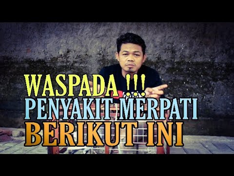 Waspada Terhadap Jenis Penyakit Merpati Berikut ini !!!