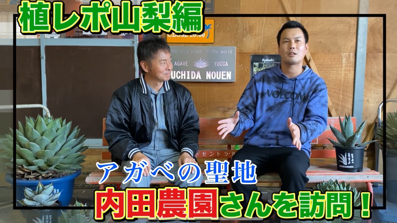 日本一のアガベナーセリー「内田農園」さんに突撃してきました！ ！ レアなアガベの紹介からインタビューまで！