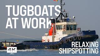Tugboats at Work | Relaxing Shipspotting