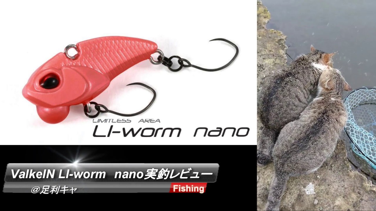 ValkeIN LI-worm nano 実釣レビュー＠足柄キャスティングエリア