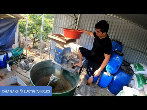 Video công suất 1tấn/1h máy làm cám. hướng dẫn ủ cám cho gà... - youtube