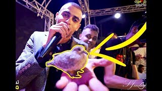 حمامة   تقتحم   مهرجان السبعاوي   بالتزامن مع اطلاق اغنية  طارت طارت طارت       سمعها