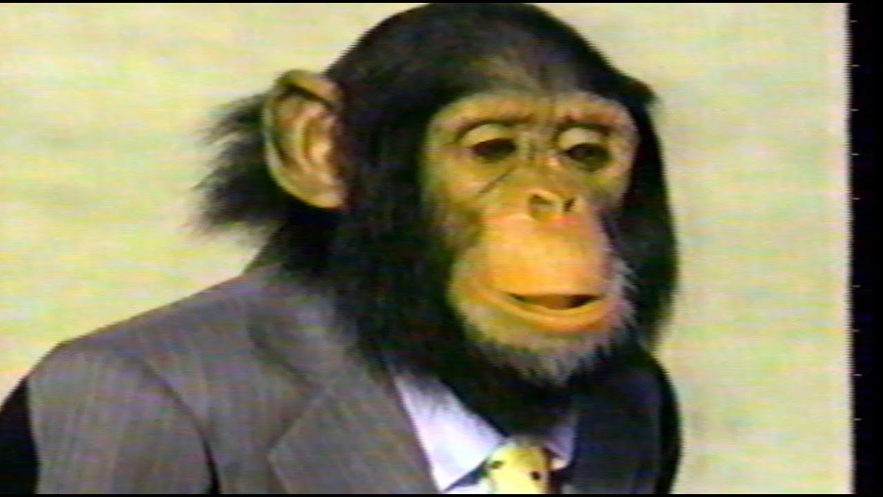 Bugle Boy Men (Clothing) commercial 1990 YouTube