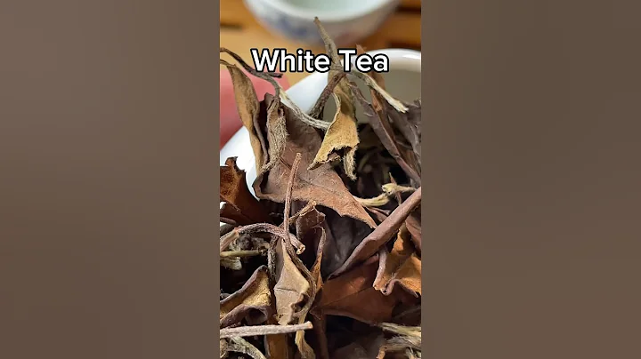 What else do you want to know about white tea? #tea #whitetea #jessesteahouse #chinese #asian - DayDayNews