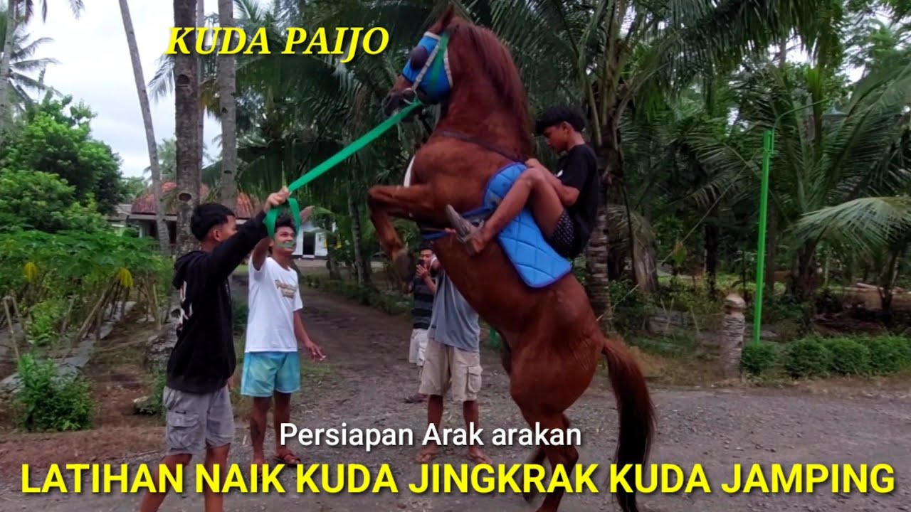Latihan Naik Kuda Jingkrak Paijo || Persiapan arak arakan