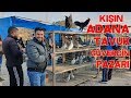 Adana Tavuk Güvercin Pazarı Kışın Bir Başka Güzel Bölüm 1