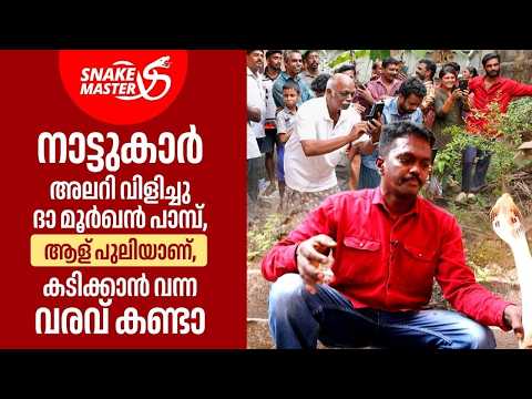 EP 49 | മുട്ടയിട്ട മൂർഖന്റെ കടിയിൽ നിന്ന് തലനാരിഴയ്ക്ക് രക്ഷപ്പെട്ടു | Vava Suresh | Snakemaster