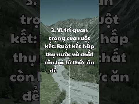 Sự Thật về
