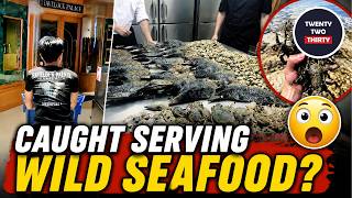 Restaurant Faces Backlash Over Alleged Changi Marine-Life Meal — Why It Matters