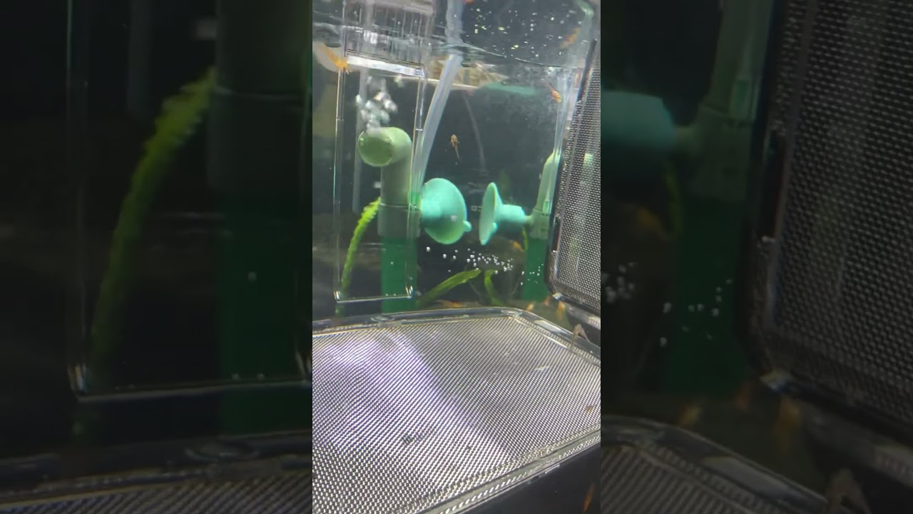 Move to a bigger house