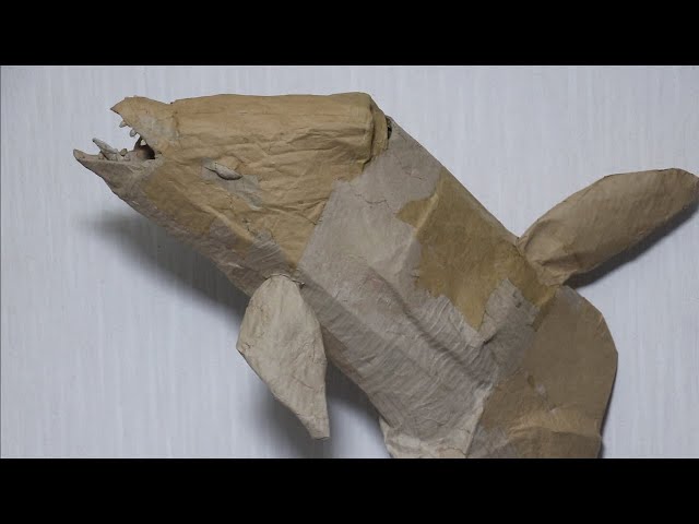 ダンボール造形＞ 水族館の人気者 イルカを作ってみた - YouTube