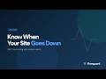 WordPress Uptime Monitoring — Get Notified When Your Site Goes Down – Flowguard Tutorial
