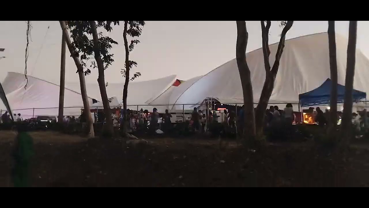 Fish and Dragon Festival 2026 Event 