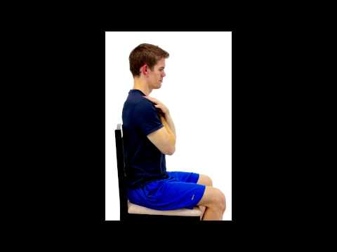 SEATED TRUNK FLEXION -hep2go