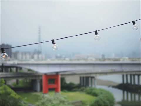 理想混蛋-不是因為天氣晴朗才愛你