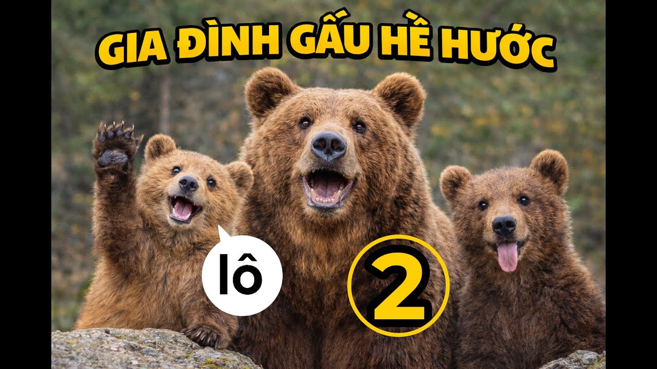 Gia Đình Gấu Nâu Dễ Thương (Phần 2)