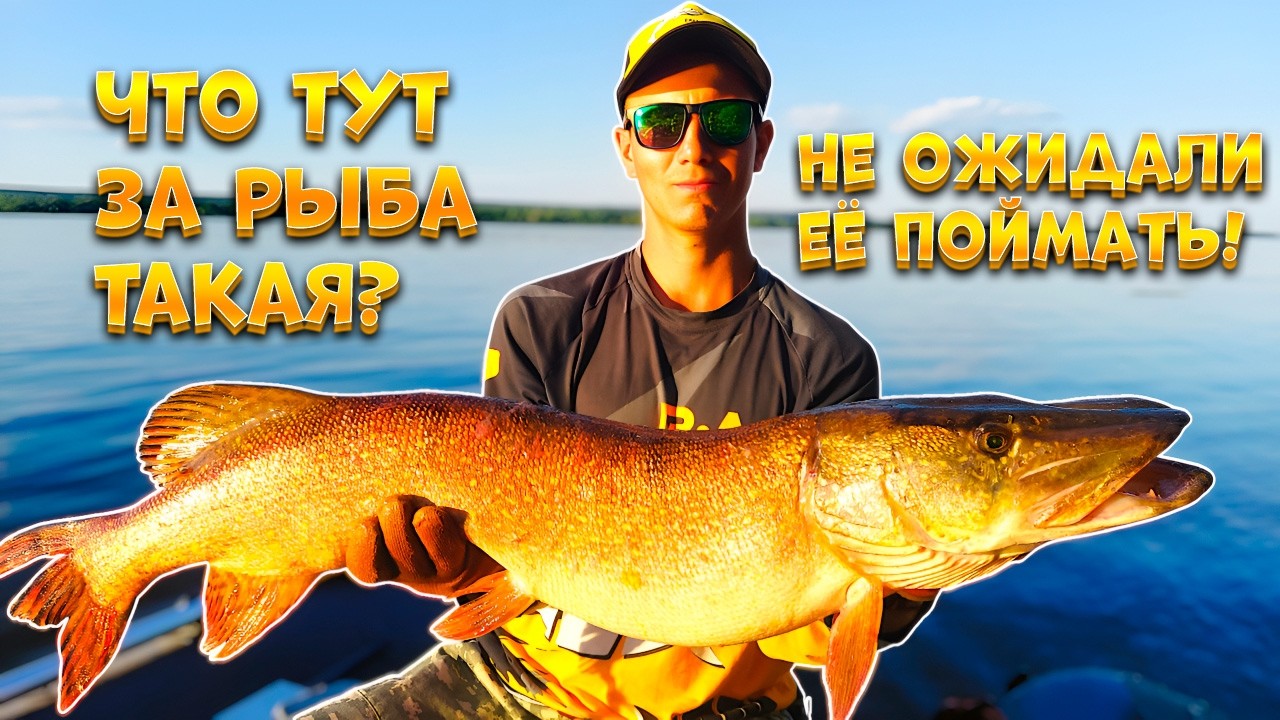 ЧТО ТУТ ЗА РЫБА ТАКАЯ? НЕ ОЖИДАЛИ ПОЙМАТЬ ЗДЕСЬ ТАКУЮ ЩУКУ!