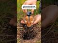 You Are Entering a Hamster Burrow (Hidden Camera Footage)