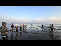 Pulling the Beach Seine Net | Massive Fish Catch & Traditional Fishing Technique