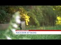 Raccoon attacks in Fairfax County