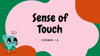 Learning the FIVE SENSES  SENSE OF TOUCH | Enjoy Science for Kids