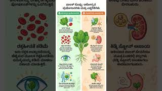important Health care tips in Kannada #shortsfeed #trending #motivation #healthtips #Kannada