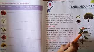Class -4.EVS.Chapter -5.Plants Around Us