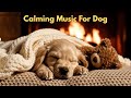 12 Hours Of Calming music for dogs🎶Relaxing Dog Music💖Soothing Dog Music🐶Healing Sleep for Pets