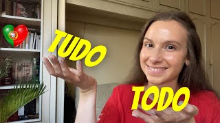 How to use TUDO and TODO in European Portuguese?