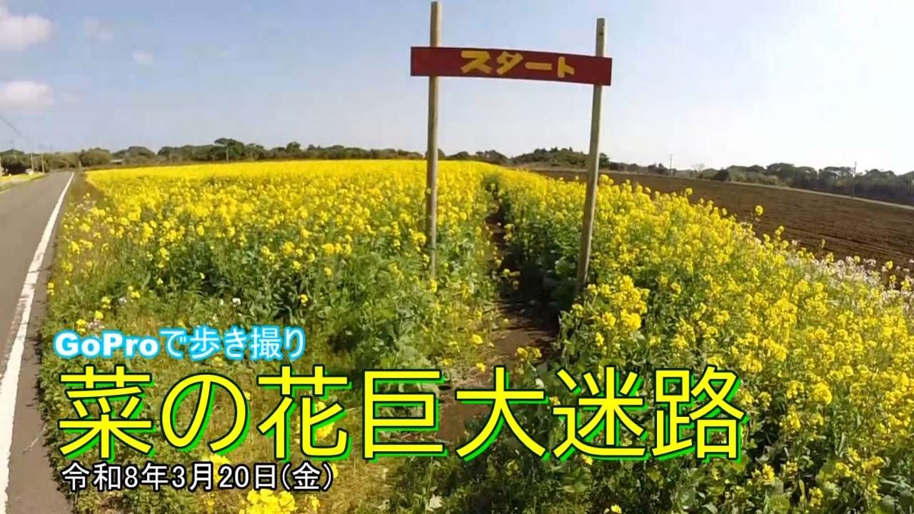 中種子町難解原尾の地域情報 - ふるさと種子島